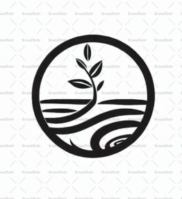 Zen Garten